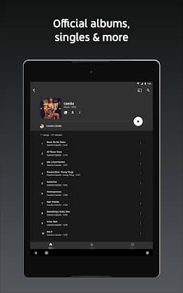 YouTube Music Premium Tangkapan skrin 3