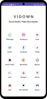 Video downloader - Vidown應用截圖第1張